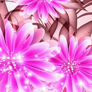 Meet your Posher, Kimberlee